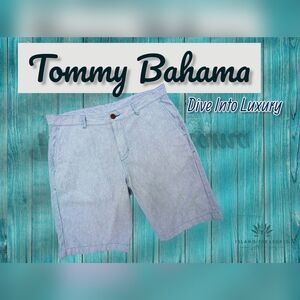 Tommy Bahama Striped City Shorts Men Size 38 Flat Front Blue/White Linen/Cotton